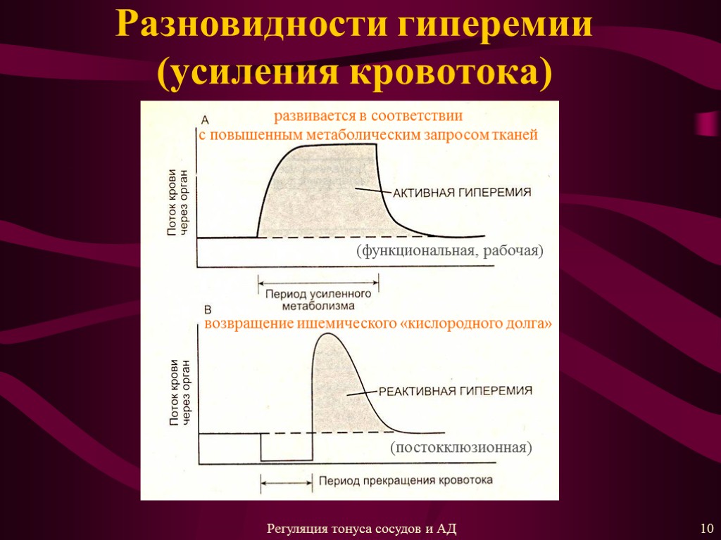 Разновидности гиперемии (усиления кровотока) (функциональная, рабочая) (постокклюзионная) развивается в соответствии с повышенным метаболическим запросом